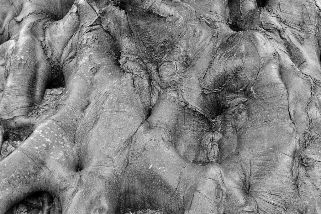 Strength Level review