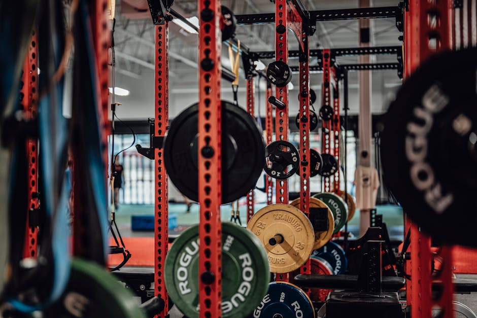 Rogue Monster Lite power rack home gym review UK
