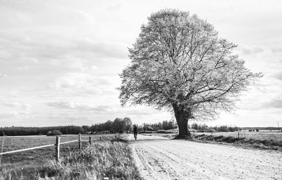 Wahoo Elemnt Rival being used by cyclist on gravel road in UK countryside