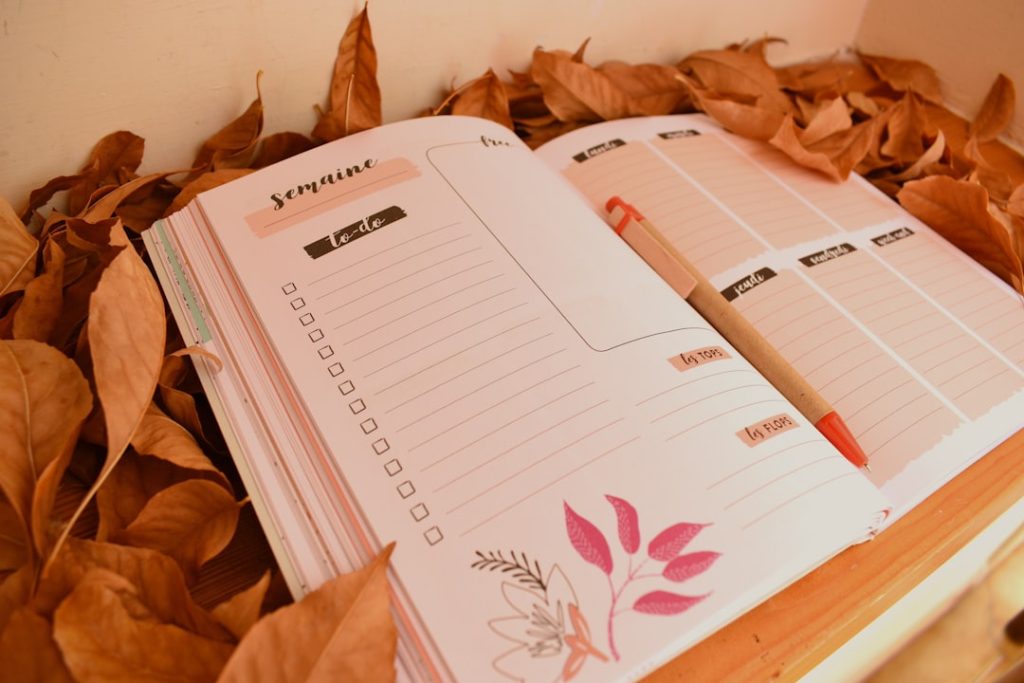 Zen Planner review