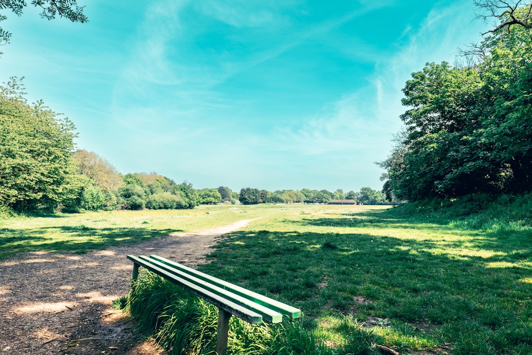 Pacer app GPS route map showing walking path through UK park